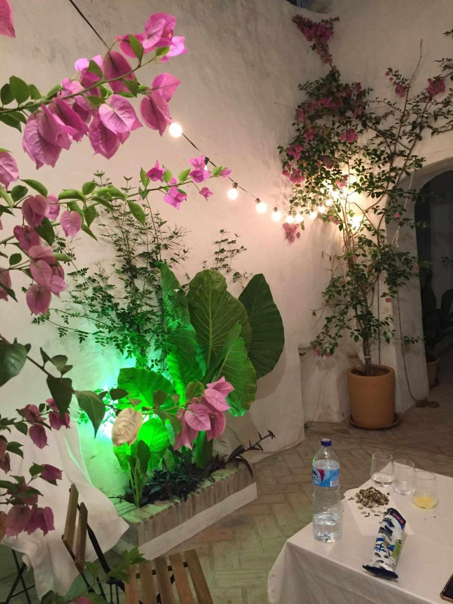 Antiqua Centro De Vejer Con Wifi Grupo Ac Gestion Villa Вехер де ла Фронтера Екстериор снимка